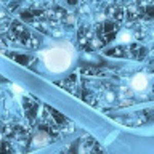 Meet your Posher, Alexander